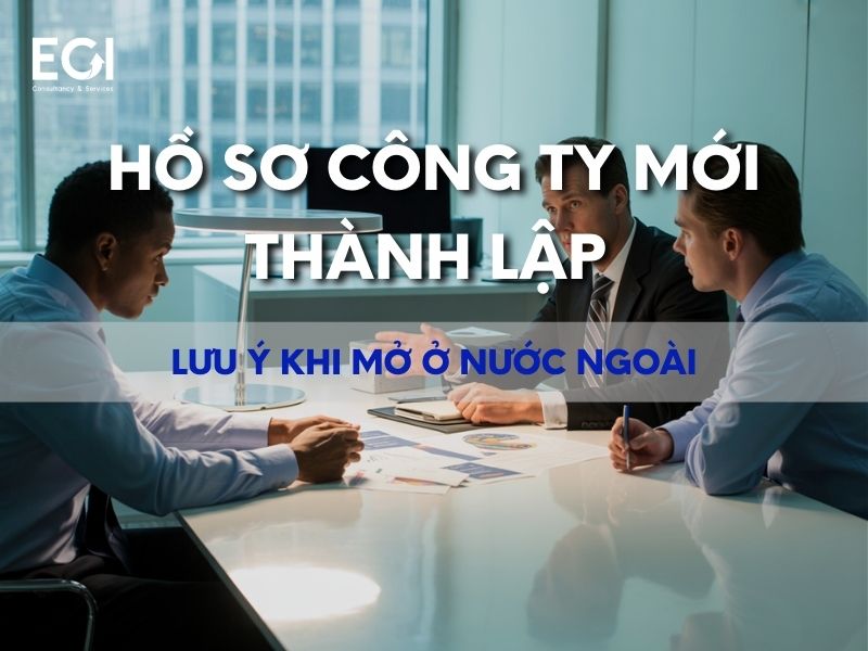 ho-so-dang-ky-cong-ty-hop-danh-nha-dau-tu-toan-cau-can-biet