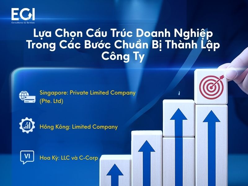 cau-truc-doanh-nghiep-trong-qua-trinh-thanh-lap-cong-ty