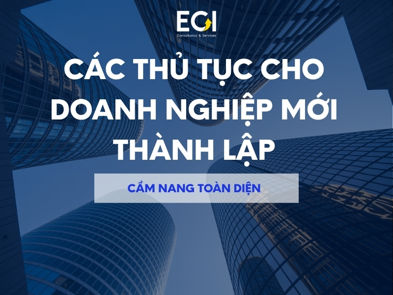 cac-thu-tuc-cho-doanh-nghiep-moi-thanh-lap-cam-nang-toan-dien-cho-chu-doanh-nghiep-tre
