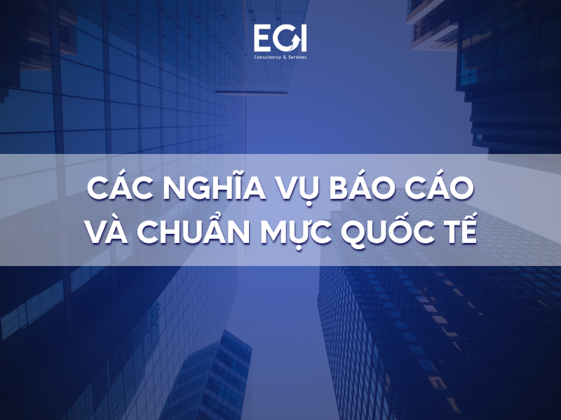 cac-nghia-vu-bao-cao-va-chuan-muc-quoc-te