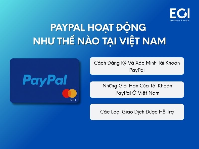 paypal-co-dung-o-viet-nam-duoc-khong-va-cach-hoat-dong-nhu-the-nao