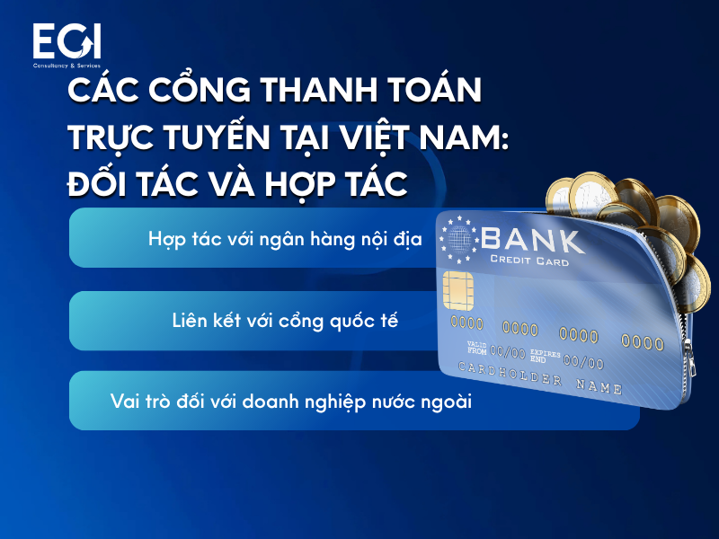 cac-cong-thanh-toan-truc-tuyen-tai-viet-nam-doi-tac-va-hop-tac