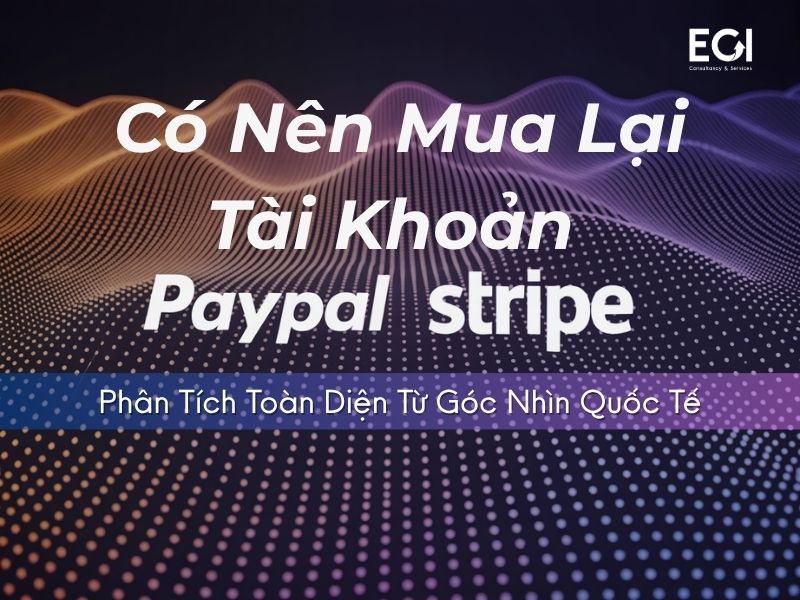 co-nen-mua-lai-tai-khoan-paypal-stripe-phan-tich-toan-dien-tu-goc-nhin-quoc-te