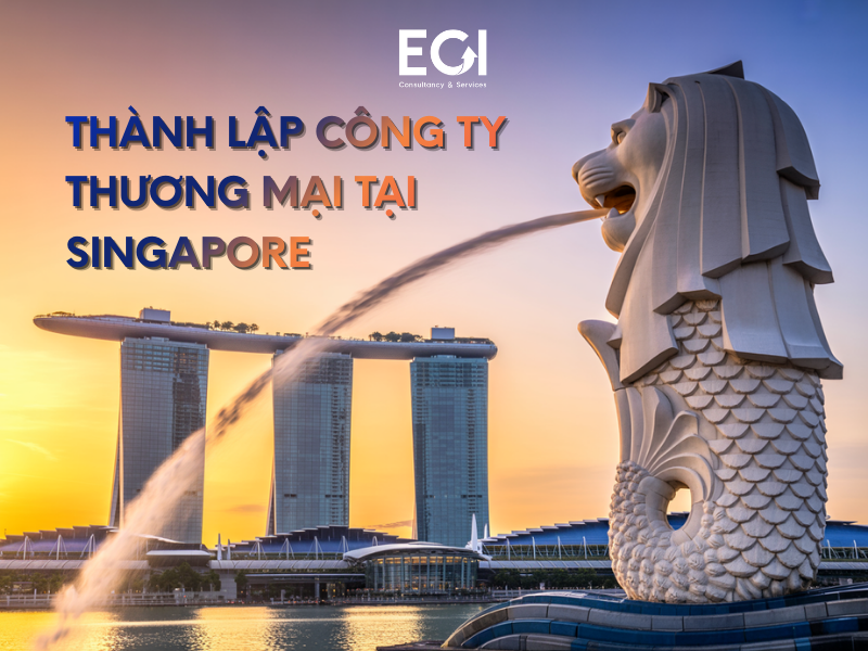 thanh-lap-cong-ty-thuong-mai-tai-singapore-quy-trinh-chi-tiet-va-nhung-loi-ich