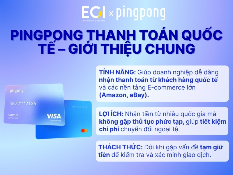 pingpong-thanh-toan-quoc-te-gioi-thieu-chung