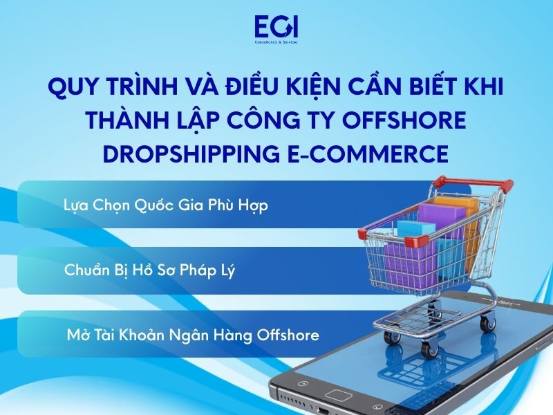 thanh-lap-cong-ty-offshore-dropshipping-e-commerce-quy-trinh-va-dieu-kien-can-biet