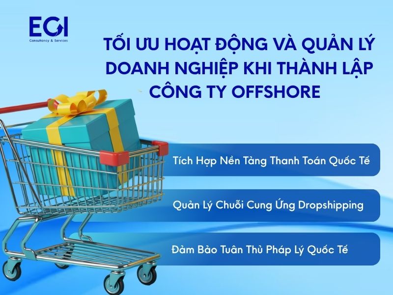 thanh-lap-cong-ty-offshore-dropshipping-e-commerce-toi-uu-hoat-dong-va-quan-ly-doanh-nghiep
