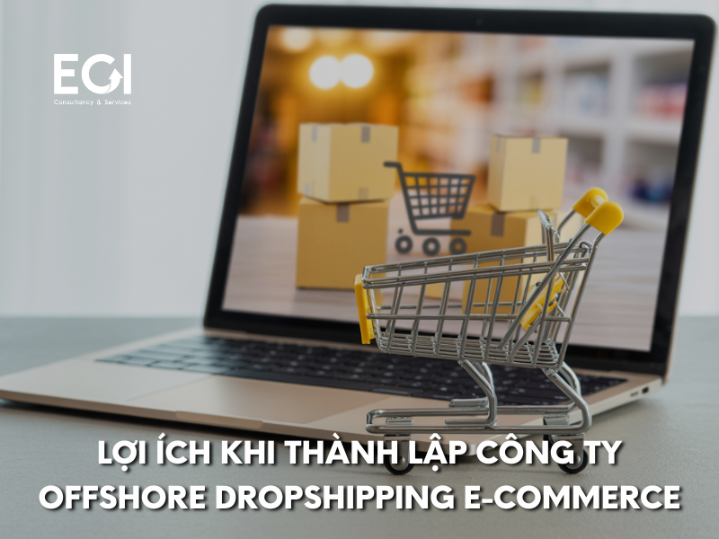 thanh-lap-cong-ty-offshore-dropshipping-e-commerce-giai-phap-toi-uu-cho-doanh-nghiep-online