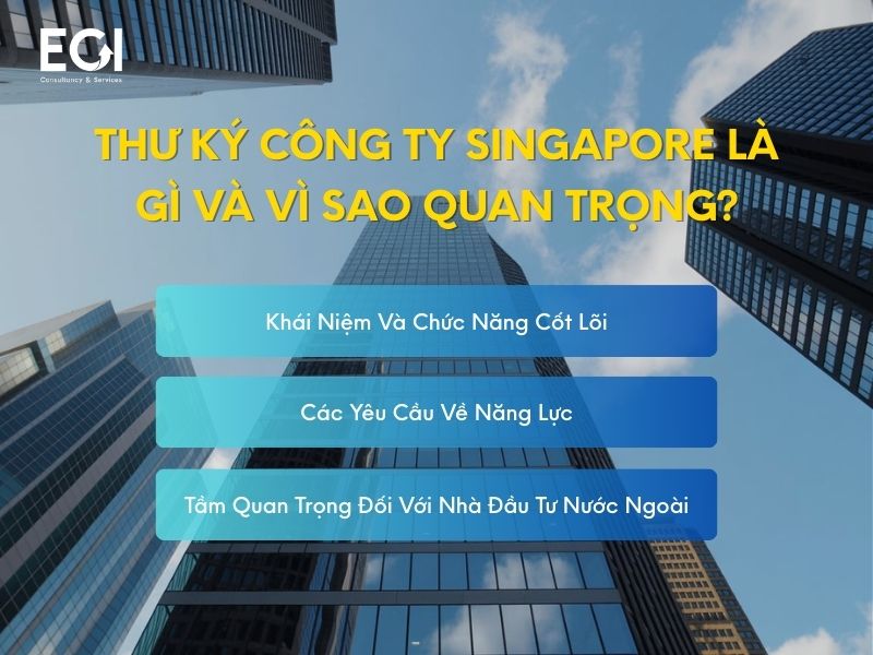thu-ky-cong-ty-singapore-la-gi-va-vi-sao-quan-trong