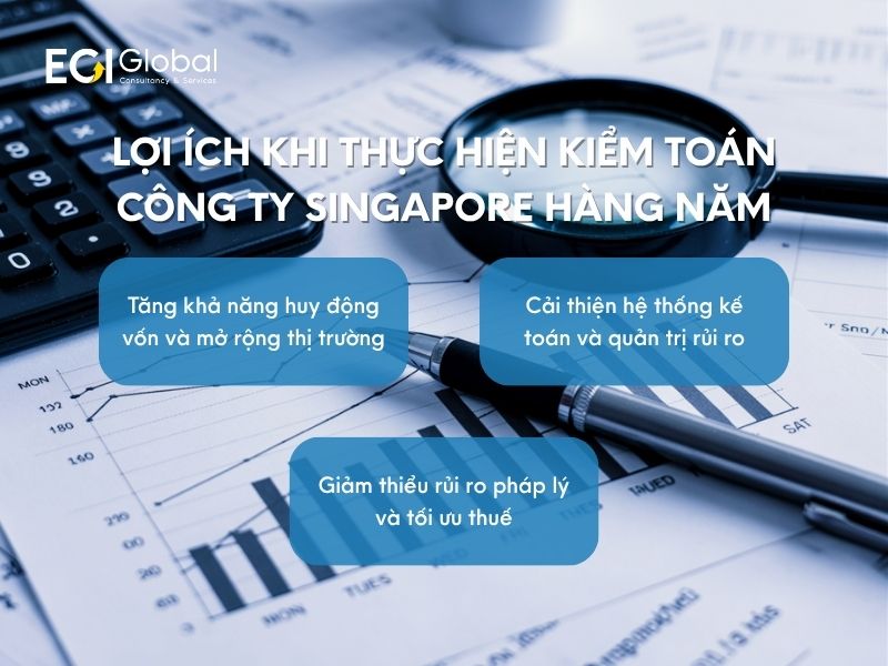 loi-ich-khi-thuc-hien-kiem-toan-cong-ty-singapore-hang-nam