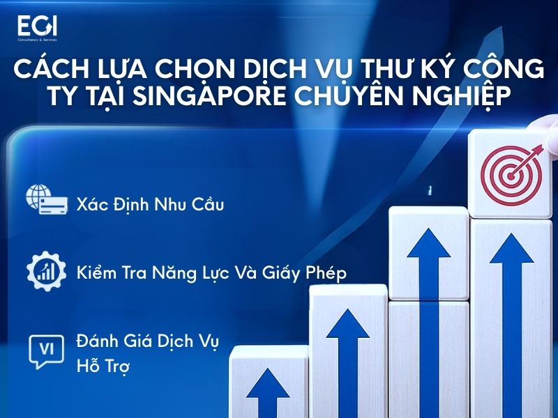 cach-lua-chon-dich-vu-thu-ky-cong-ty-tai-singapore-chuyen-nghiep