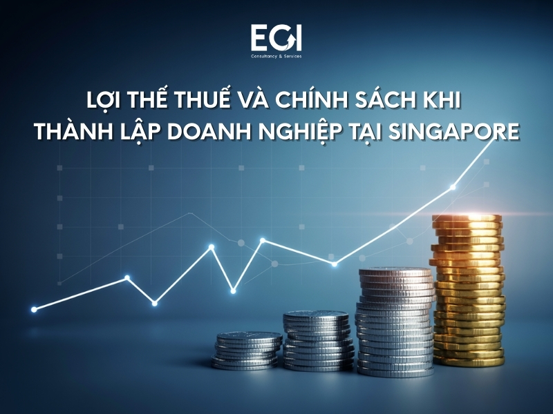 loi-the-thue-va-chinh-sach-hap-dan-khi-thanh-lap-doanh-nghiep-tai-singapore