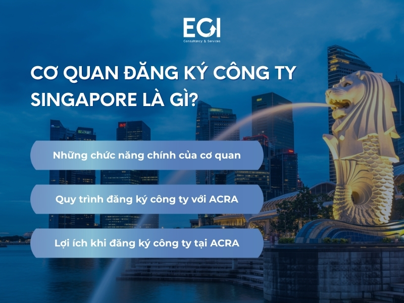 co-quan-dang-ky-cong-ty-singapore-la-gi