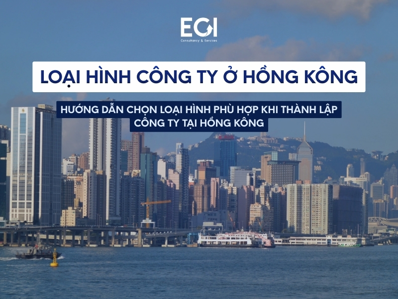 loai-hinh-cong-ty-o-hong-kong-huong-dan-chon-loai-hinh-phu-hop-khi-thanh-lap-cong-ty-tai-hong-kong