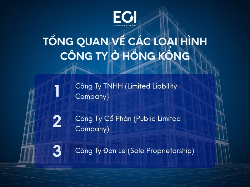 tong-quan-ve-cac-loai-hinh-cong-ty-o-hong-kong