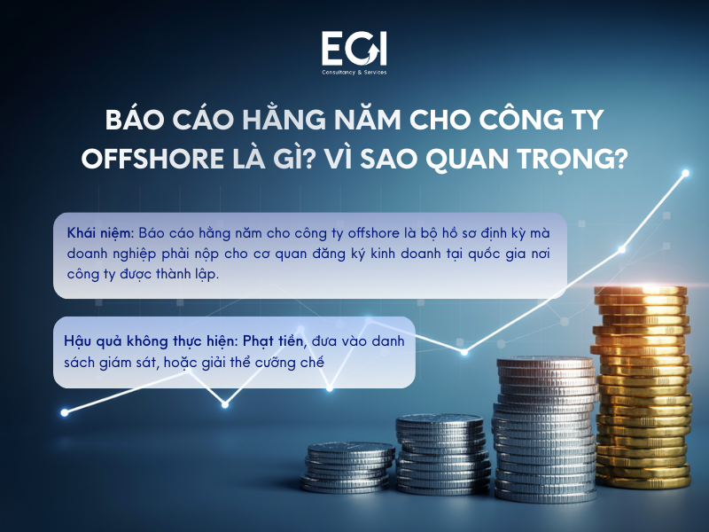 khai-niem-va-ly-do-tai-sao-bao-cao-hang-nam-lai-bat-buoc