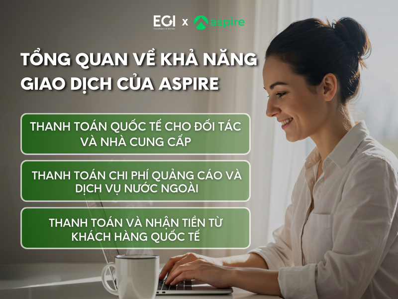 danh-muc-thanh-toan-aspire-ho-tro