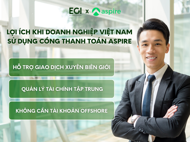 loi-ich-khi-doanh-nghiep-viet-nam-su-dung-cong-thanh-toan-aspire