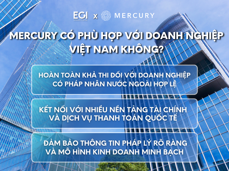 dang-ky-thanh-toan-qua-mercury-co-phu-hop-voi-doanh-nghiep-viet-nam-khong