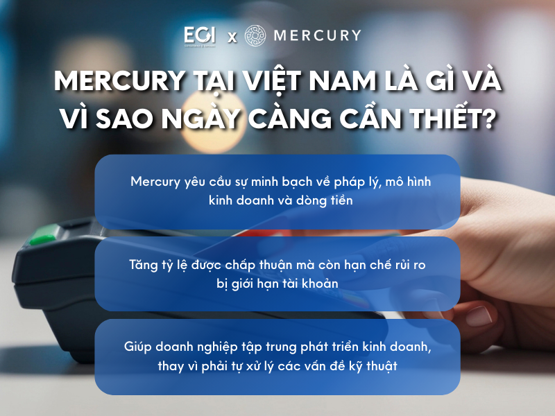ho-tro-mercury-tai-viet-nam-la-gi-va-vi-sao-ngay-cang-can-thiet