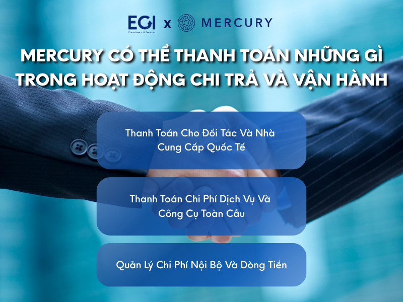 mercury-co-the-thanh-toan-nhung-gi-trong-hoat-dong-chi-tra-va-van-hanh