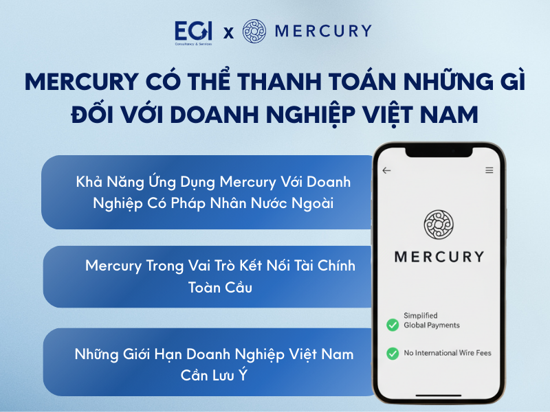 mercury-co-the-thanh-toan-nhung-gi-doi-voi-doanh-nghiep-viet-nam