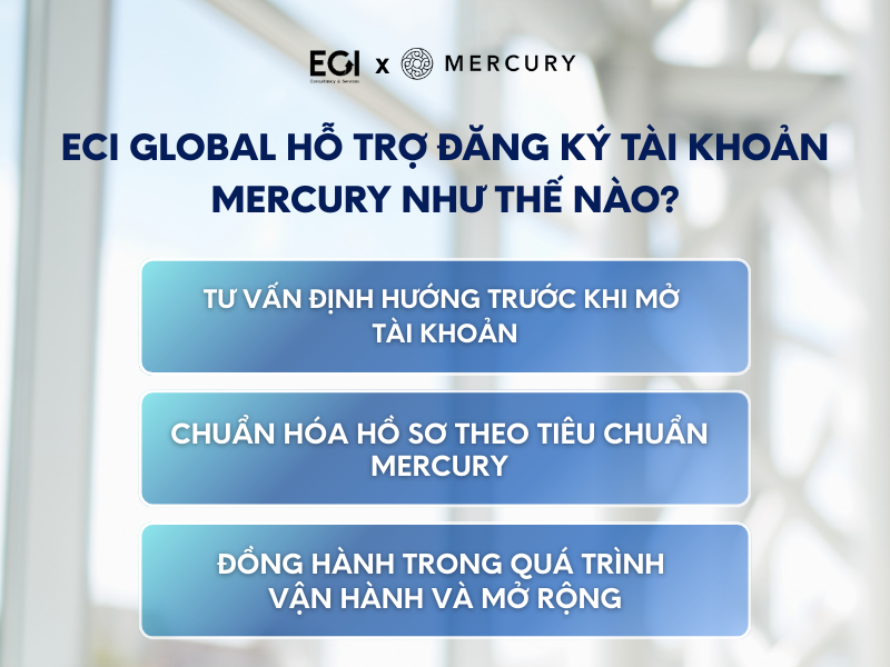 eci-global-ho-tro-dang-ky-tai-khoan-mercury-nhu-the-nao