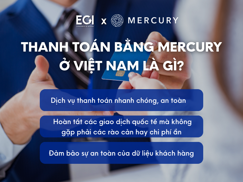 thanh-toan-bang-mercury-o-viet-nam-la-gi