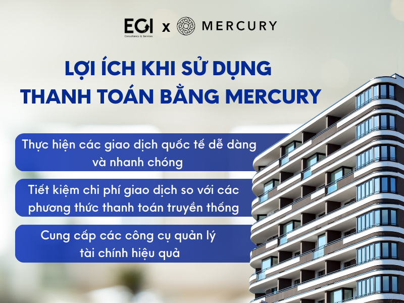 loi-ich-khi-su-dung-thanh-toan-bang-mercury-o-viet-nam