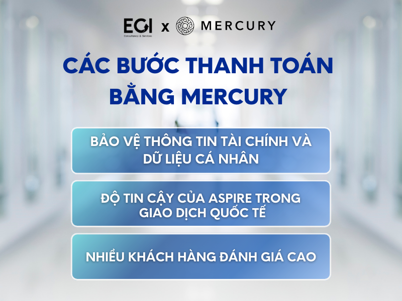 cac-buoc-thanh-toan-bang-mercury-o-viet-nam
