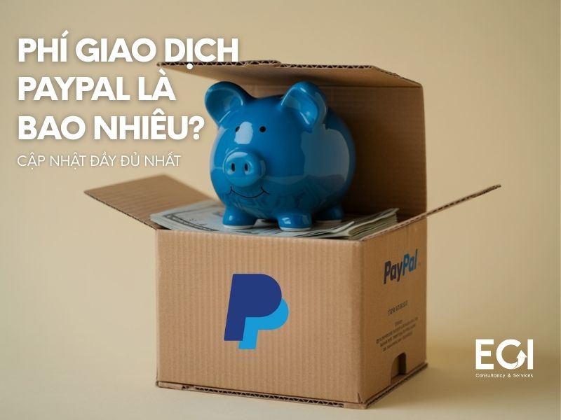 phi-giao-dich-paypal-la-bao-nhieu-cap-nhat-day-du-nhat